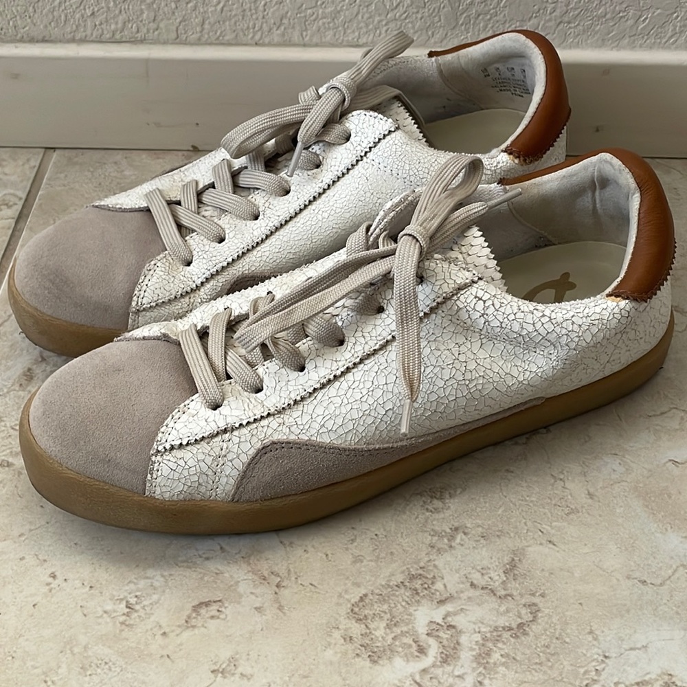 Sam Edelman Women's Prima Sneaker - white , grienge ,  ginger brown